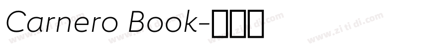 Carnero Book字体转换